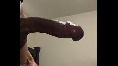 Someone put this in their mouth